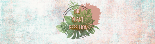 Plant Rebellion Gift Card